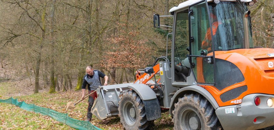 Baumhofmitarbeiter beim Aufstellen eines Amphibienschutzzauns im Bad Salziger Kurpark