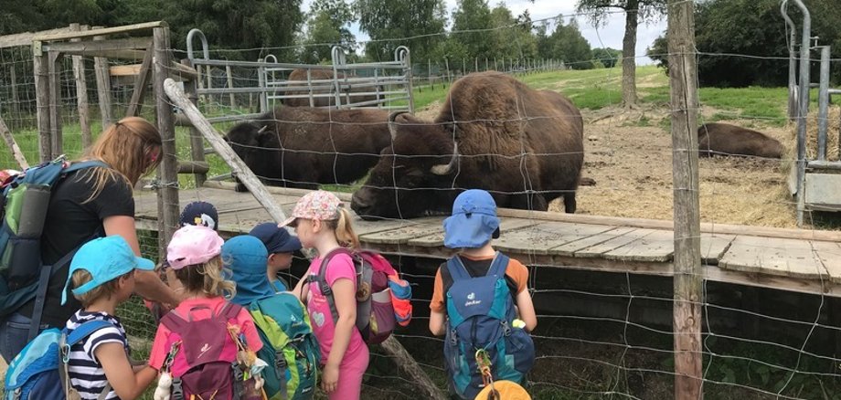 Ausflug in den Tierpark Rheinböllen