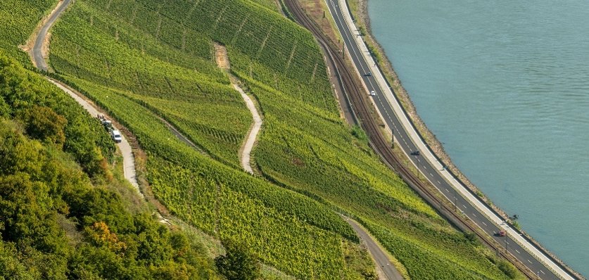 Blick auf den Bopparder Hamm und den Rhein.