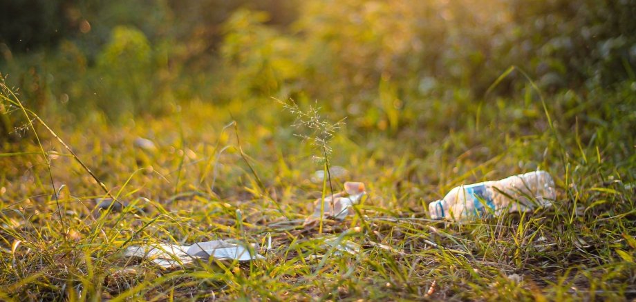 Die Vorschulkinder der Kita Weiler haben bei einer Aktion jede Menge Müll rund um den Eisenbolz eingesammelt, den Menschen, so wie hier auf unserem Symbolbild, einfach achtlos in der Natur entsorgt hatten.