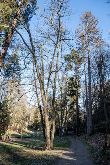 Das Foto zeigt den Marienberger Park in Boppard. 