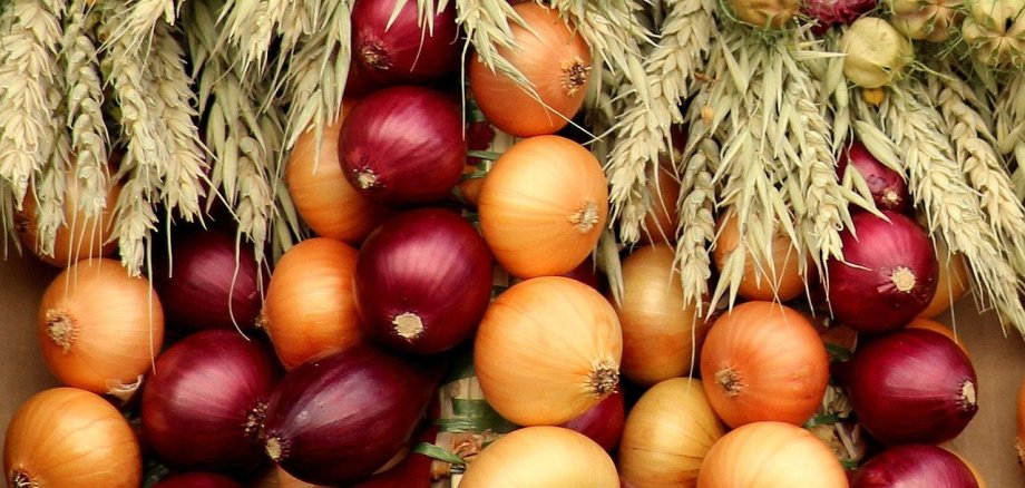 Die Händler bieten eine Vielzahl von Produkten an, darunter die namensgebenden Zwiebeln und Blumenzwiebeln. Von Haushaltszubehör über Kleidung, Gewürze, Schmuck, Tierbedarf, Werkzeug, hochwertige Lederwaren bis hin zu Imbissständen – hier findet jeder Besucher etwas nach seinem Geschmack.