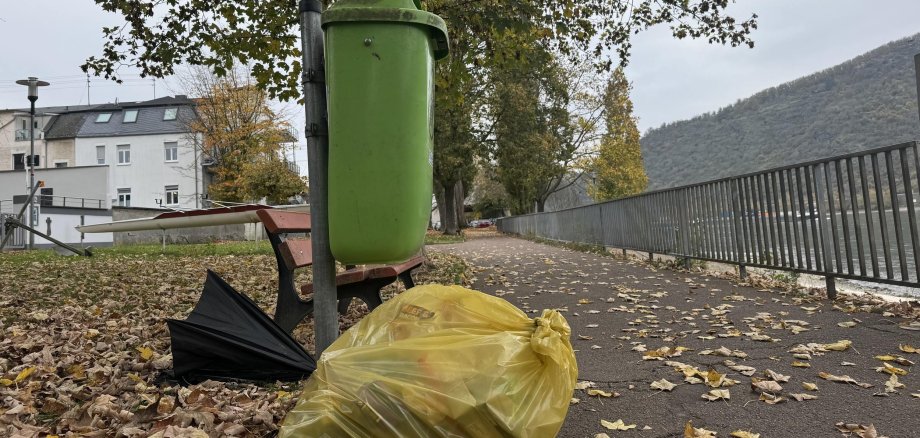 Wild entsorgter Müll, wie hier in der Bopparder Rheinallee, ist kein Kavaliersdelikt, sondern kann ein empfindliches Bußgeld nach sich ziehen. 