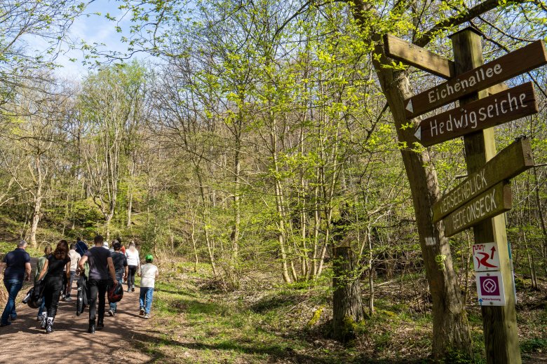 Eindrücke von der Baumpflanzaktion 2024 im Kinder- und Hochzeitswald Boppard.