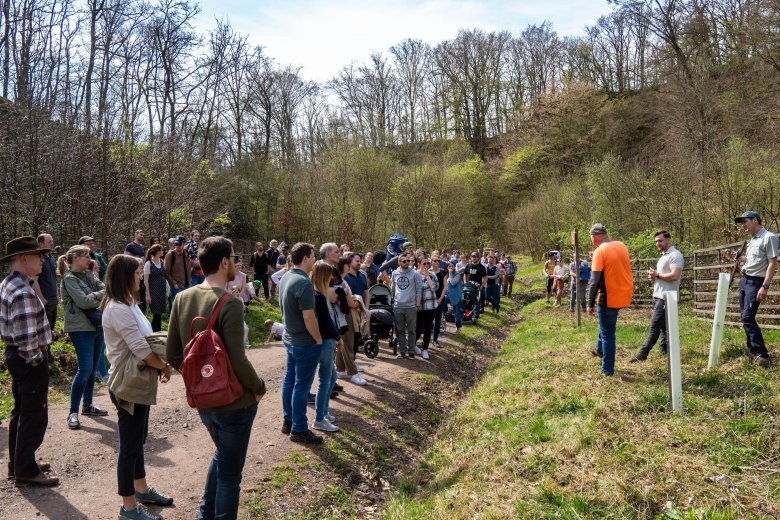 Eindrücke von der Baumpflanzaktion 2024 im Kinder- und Hochzeitswald Boppard.