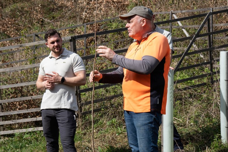 Eindrücke von der Baumpflanzaktion 2024 im Kinder- und Hochzeitswald Boppard.