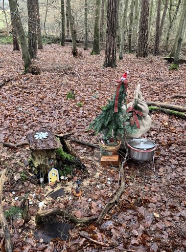 Das Christkind hatte den Waldkindern bereits an ihrem Weihnachtswichtelhaus nicht nur einen neuen Feuertopf und leckeren Wichtelpunsch geschenkt, sondern auch geheimnisvolle und glitzernde Eintrittskarten in einer Schatulle hinterlassen. 