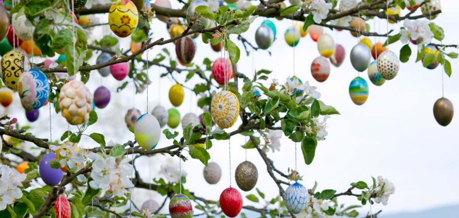 Die Osterferienbetreuung in der Grundschule Bad Salzig bietet den Kindern und Jugendlichen eine Vielzahl von Beschäftigungsmöglichkeiten. 