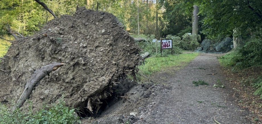 Aufgrund von Unwetterschäden wurde der Marienberger Park in Boppard am Montagvormittag teilweise gesperrt. 